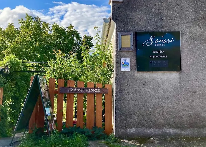 Hegyoldal Vendeghaz Case de vacanță *